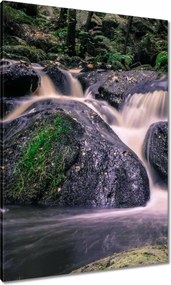 Vászonkép 70x100 Folyó víz a patakban