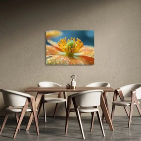 Üveg kép - Részlet a virágból (70x50 cm)