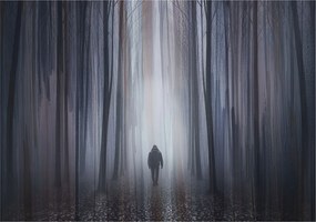 Flizelin fotótapéta Flizelin Designer Erdei csend 312x219 Ragasztó