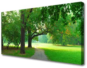 Vászonkép Fák Nature Path 125x50 cm