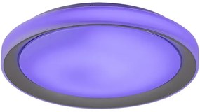 Rabalux 3510-LED RGB dimmelhető mennyezeti lámpa EVEREST LED/40W/230V Wi-Fi + távirányító