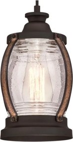 Westinghouse 6361740 - CANYON kábeles függeszték 1xE27/60W/230V