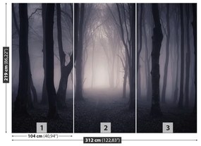 Fotótapéta Sötét erdő 104x70 cm