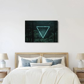 Kép - Neon háromszög a dzsungelben (90x60 cm)