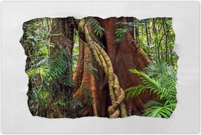 Poszterek 120x80 Tåjkép Låtvåny