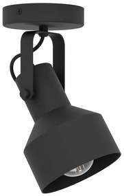 Eglo 99517 - Spotlámpa CASIBARE 1xE27/28W/230V