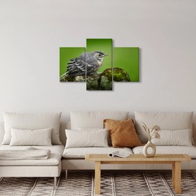 Kép - Légykapó (90x60 cm)