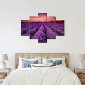 Kép - Levendula mező (150x105 cm)