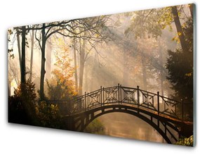 Akrilkép Forest Bridge architektúra 100x50 cm