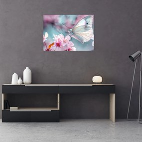 Kép - Pillangó a cseresznyefán (70x50 cm)