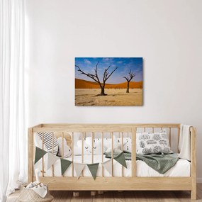 Kép - Halálvölgy (70x50 cm)