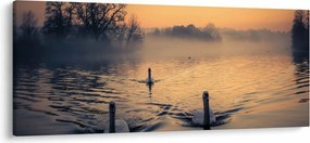 Hattyúk a vizen és a ködben képe (120x50 cm)