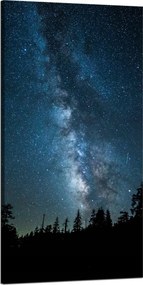 Vászonkép Kozmosz Éjszaka Erdő Köd Természet Csillagászat 60x120