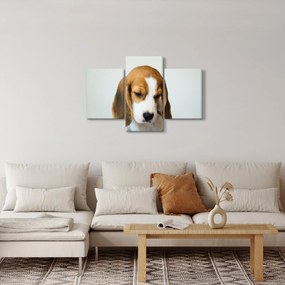 Beagle képe (90x60 cm)