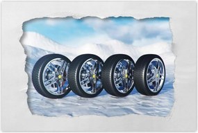 Poszterek 60x40 Nyári gumiabroncsok a hóban