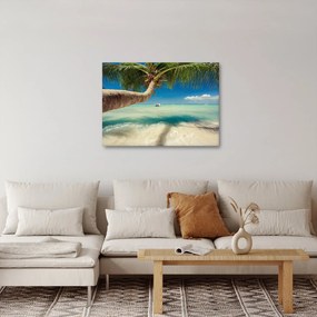 Kép - Tiszta tenger pálmafával (70x50 cm)