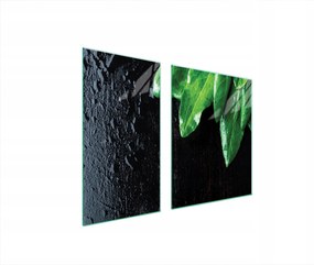 Üveg Tűzhelyvédő Főzőlap 90x52 Bazsalikom Edzett Üveg