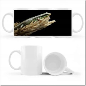 Fotó bögre Indonéz gyík