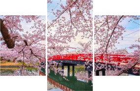 Kép - Hirosaki, Japán (90x60 cm)