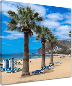 Vászonkép 50x50 Nagy pálmafák a tengerparton
