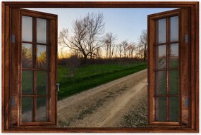 Poszterek 60x40 Mezei út Fák Mezők