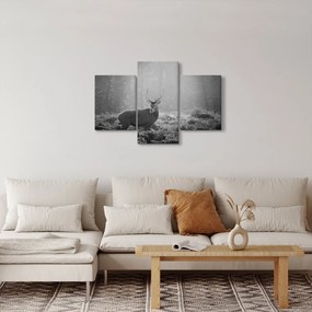 Kép - Szarvas az erdőben, fekete-fehér (90x60 cm)