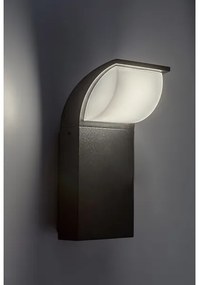 Rabalux 7166 - LED Kültéri fali lámpa HONGKONG LED/9W/230V IP65