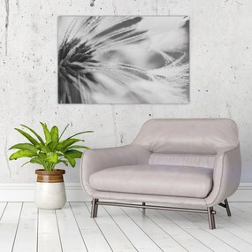 Kép - Pitypang (90x60 cm)