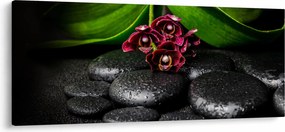 Kép - Lávakövek (120x50 cm)