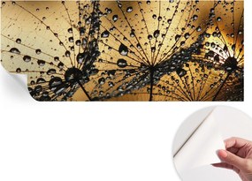 Öntapadós fotótapéta Divatos Finom cseppek 250x104 cm