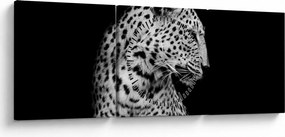 Kép - Leopárd (órával) (90x30 cm)