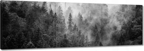 Vászonkép 60x20 Tájkép Szürke Hegyek Köd