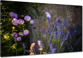 Festmények 120x80 Levendula