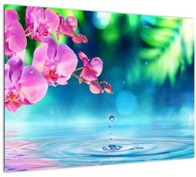 Kép - Orchidea (üvegen) (70x50 cm)