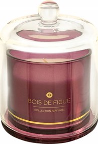 Illatgyertya Gyertya Üvegbúrával 240 ml Illatosított Fügefa