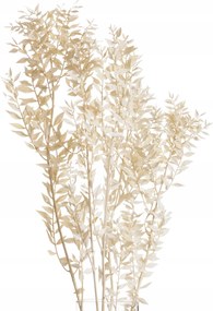 Szárított ruszkusz fehérre meszelt fehér csokor 5 db-os szárított virágcsokor