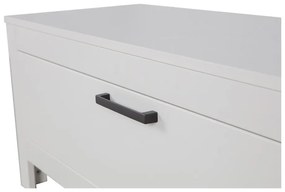 Világosszürke borovi fenyő TV-állvány 120x45x40 cm Bonk – WOOOD