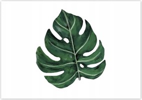Poszterek 100x70 Monstera Zöld levél
