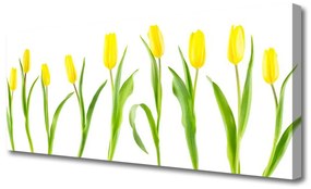 Vászonkép Tulipán sárga virágok 140x70 cm