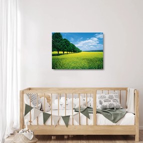 A mező képe egy sikátorral (üvegen) (70x50 cm)