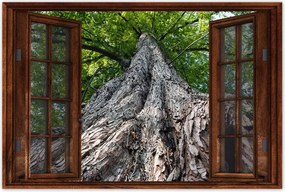 Poszterek 120x80 Fa Fák Kilátás