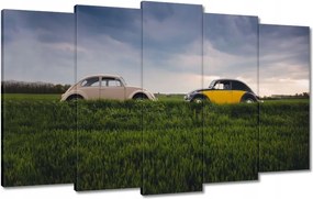 Képek 100x60 Volkswagen Bogár