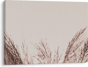 Kép - Szárított fű (70x50 cm)