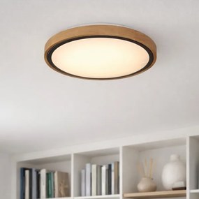 Globo 41764-12 - BRUNO LED mennyezeti lámpa 12W, 307 mm, 3000-6000K