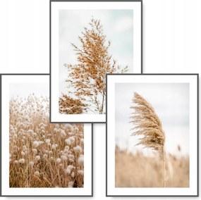 Boho 3 db-os kép szett B2 50x70 Természet poszter #11