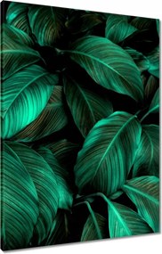 Vászonkép 60x80 Gyönyörű türkiz levelek