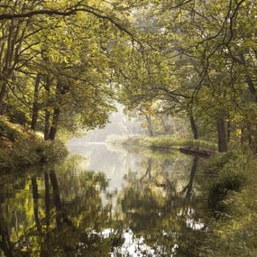 Poszter 70x70cm Basingstoke csatorna 2, Assaf Frank