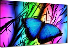 Vászonkép 120x80 Kék pillangó