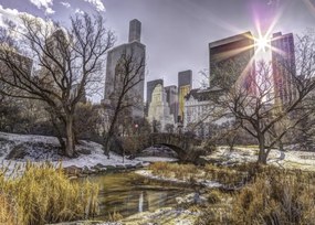 Poszter 70x50cm Központi park Alsó-Manhattan panorámával, Assaf Frank