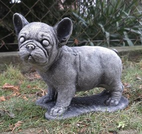Kutya figura Francia bulldog beton kutyus kerti dekoráció 22x32 cm
